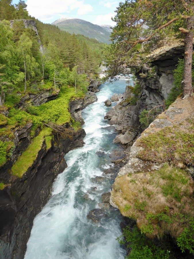 ROMS DALS FJORD AND ANDALSNES 30062014 (49) (Copy) (Copy)